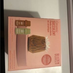 Bluzen Ceramic Succulent Planter with Essential Oils